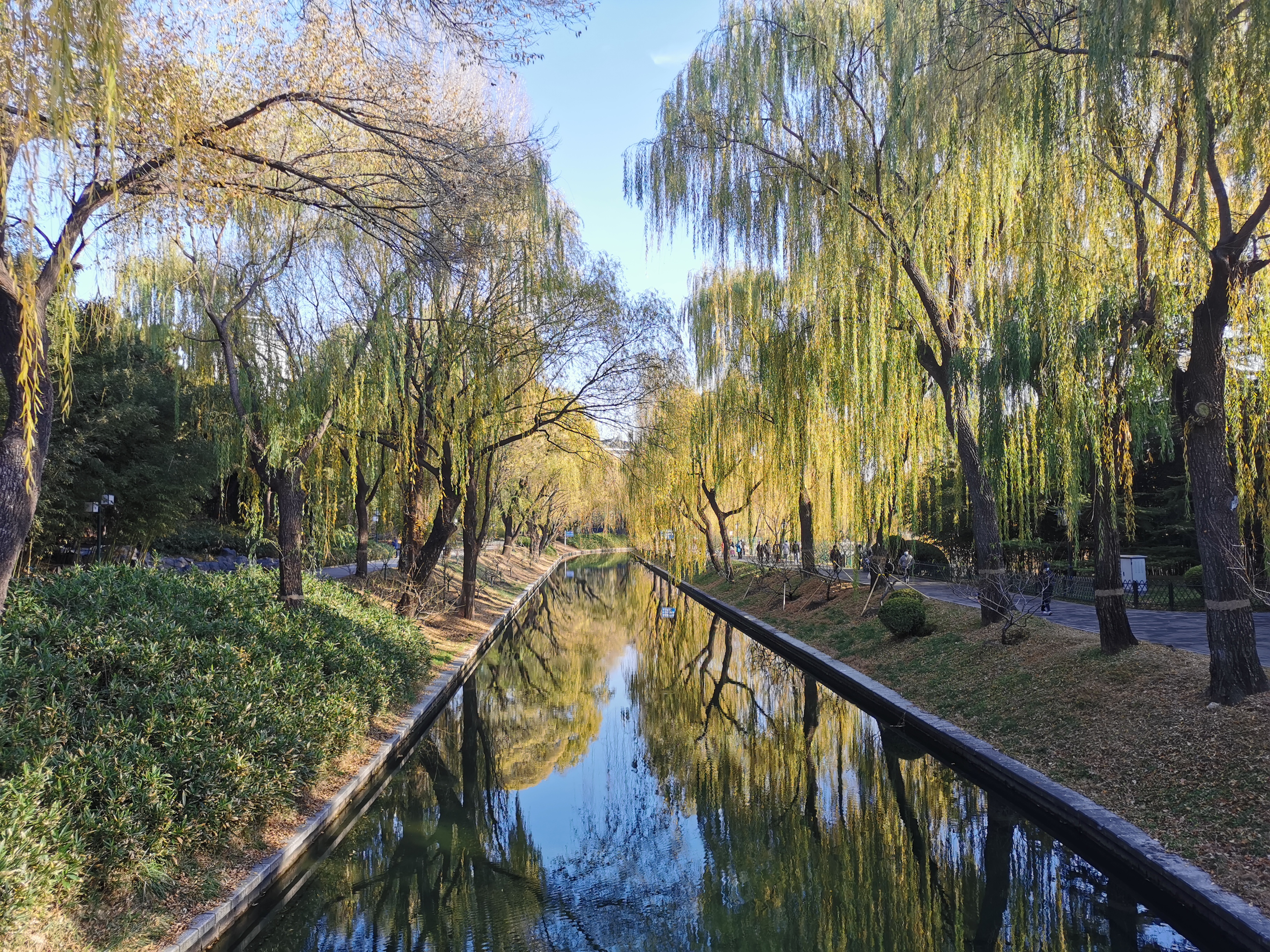 在通化做供卵试管婴儿可以选择性别吗？它的费用是多少？