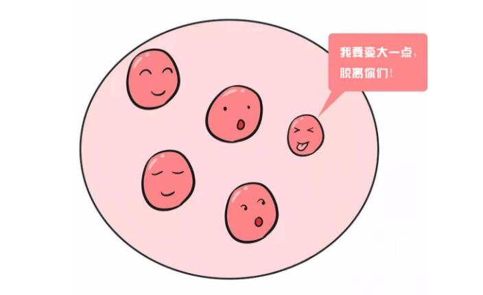 借卵做试管为什么会空孕囊呢
