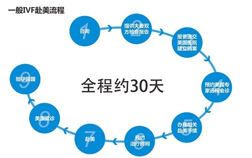 供卵试管婴儿囊胚移植前的流程