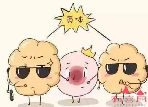 试管成功要卧床3个月吗-26岁做长春试管成功率多高（如何评估自己的生育能力？）