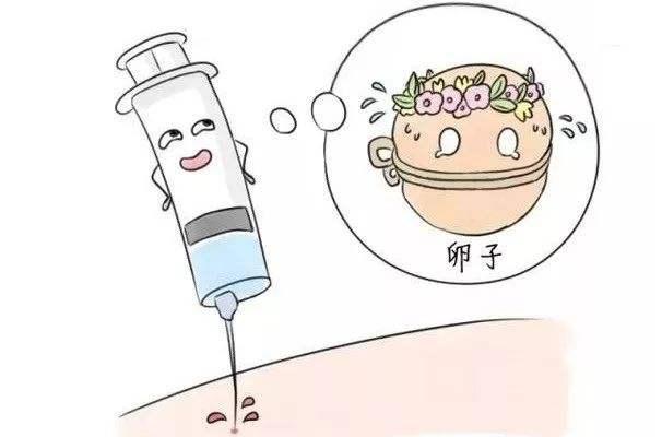 备孕输卵管堵塞后,会出现不排卵、不受孕的情况吗