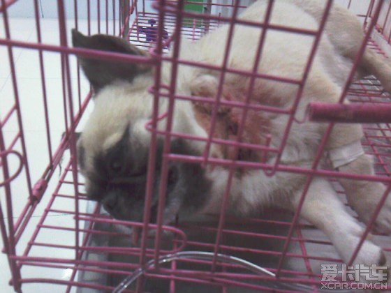 45岁女性做第三代试管代怀哪些药还用的私人医院有吗哪些医院可以做第三代严禁试管代怀立法